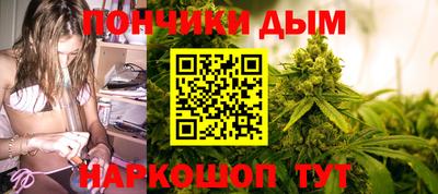шишки Славгород