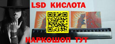 шишки Славгород