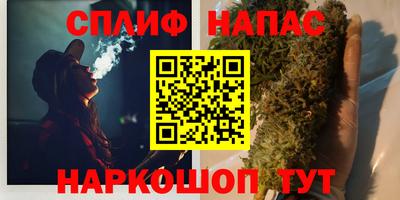 СК Славянск-на-Кубани