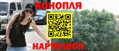 шишки Славгород