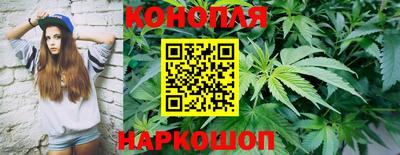 СК Славянск-на-Кубани