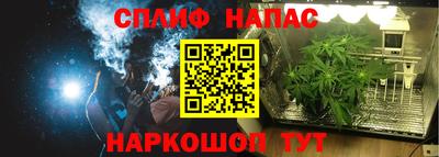 шишки Славгород
