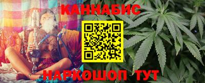шишки Славгород