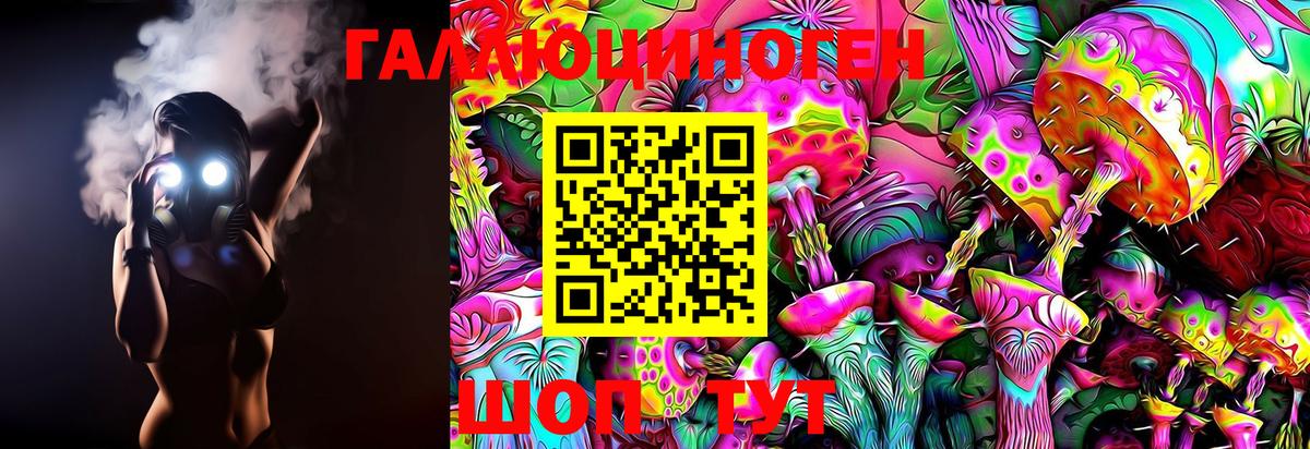Орск  Галлюциногенные грибы Magic Shrooms  Вход с VPN 